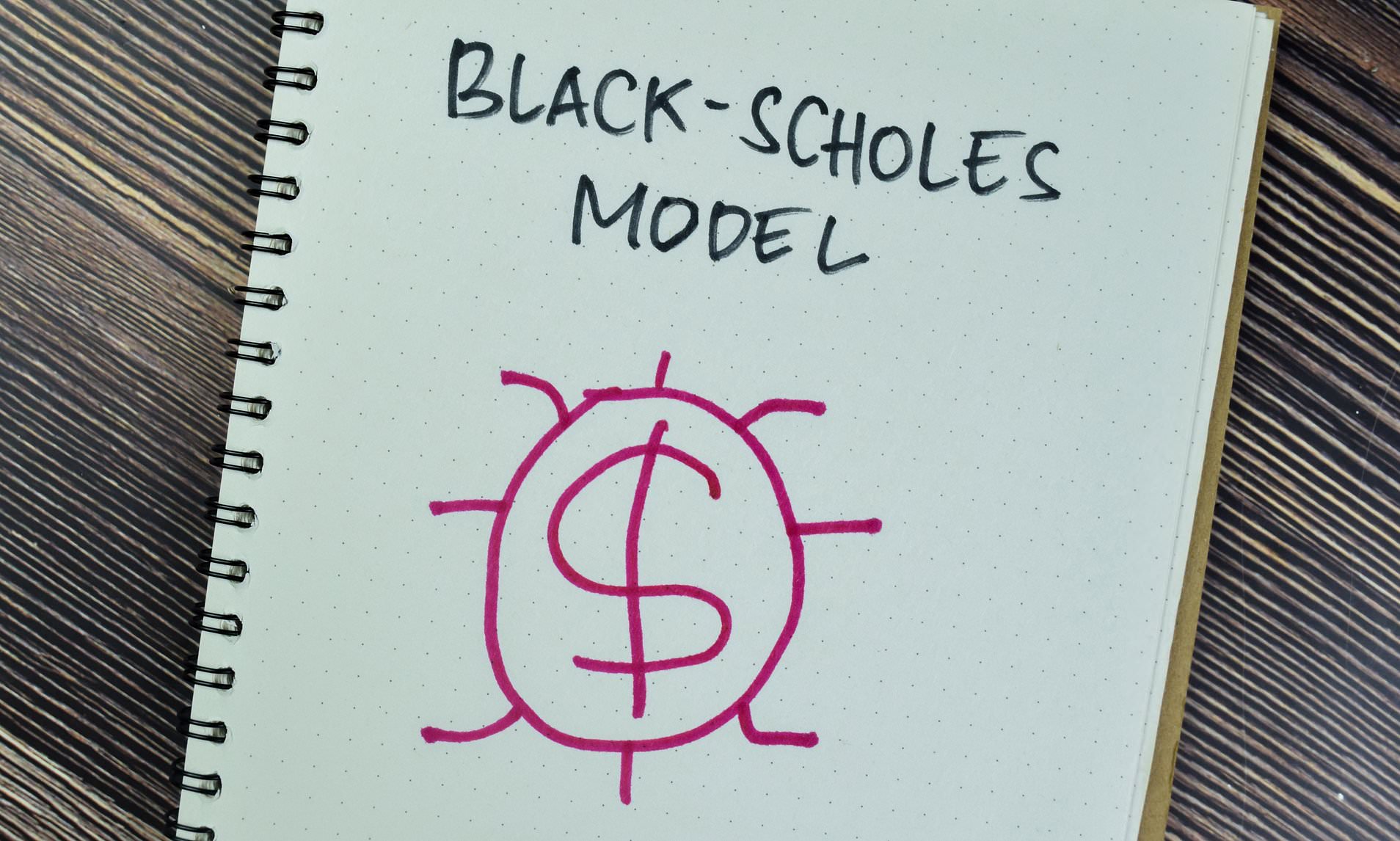 Black Scholes model