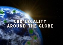 CBD Legality Around the Globe: A Comprehensive Guide to Legal Statuses