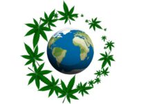 Legal Status and Regulations of Medical Marijuana Around the World