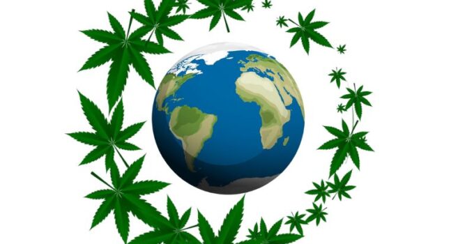 medical marijuana legacy around the world