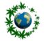 Legal Status and Regulations of Medical Marijuana Around the World