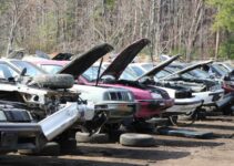 Auto Salvage: Your Wallet’s Best Friend or Worst Nightmare?