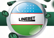 Linebet ─ Bets on Football ─ All You Need to Know
