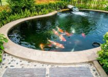 Modern Pond Designs – Sleek and Stylish Ideas for Contemporary Gardens
