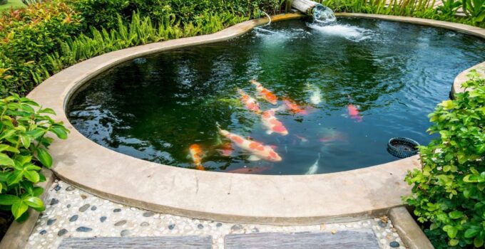 Modern Pond Designs – Sleek and Stylish Ideas for Contemporary Gardens