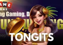 Tongits Evolution: GameZone’s Innovative Approach to a Beloved Pinoy Classic