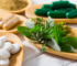 Top Herbal Products That Support Joint and Muscle Health