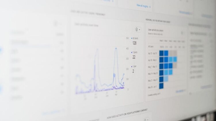 Graphs and tables that show customer data produced by the best software customer segmentation