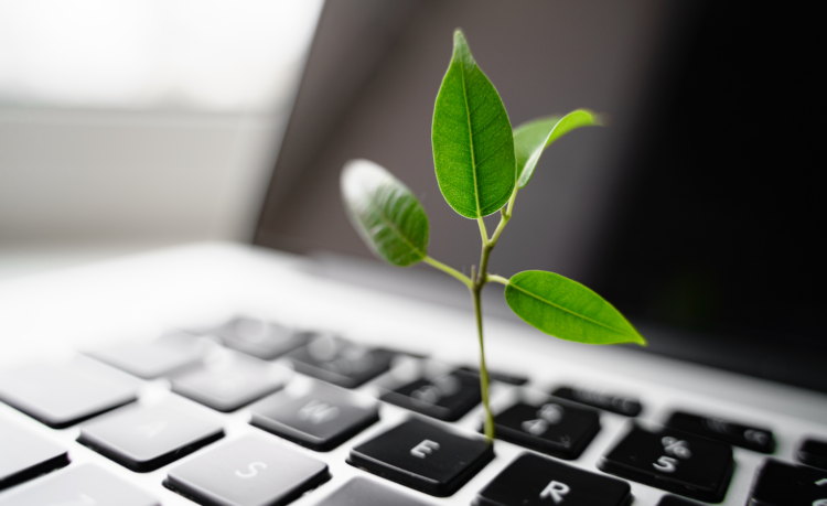 Embedding Sustainability