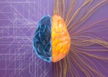 7 QEEG Brain Mapping Misconceptions That Keep You Stagnant