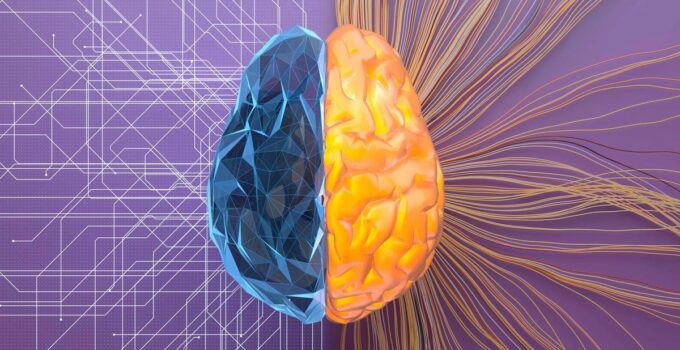 7 QEEG Brain Mapping Misconceptions That Keep You Stagnant