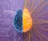 7 QEEG Brain Mapping Misconceptions That Keep You Stagnant