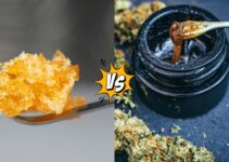Low-Voltage Ceramic Hardware: How It Preserves Flavor in Live Rosin and Live Resin